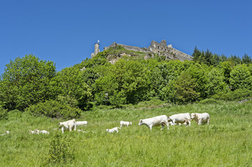 sévérac le chateau