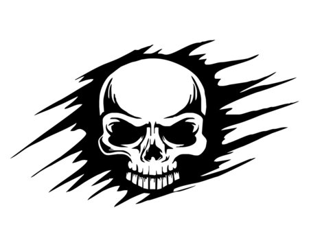 skull skeleton bone logo image vector