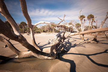 Botany Bay beach