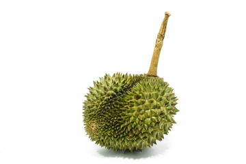 Durian, King of fruit