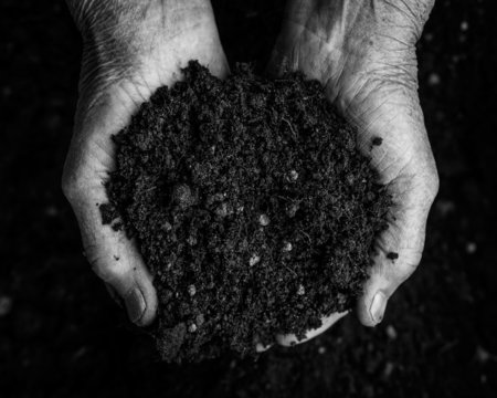 Old woman hands holding fresh soil. spring and ecology concept