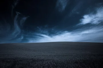 Foto auf Acrylglas green grass and blue sky at night © Nickolay Khoroshkov