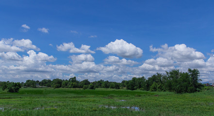green field and blue sky