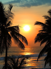 Fototapeta na wymiar tropical sea sunset and palms