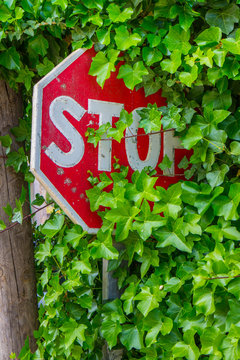STOP + Efeu