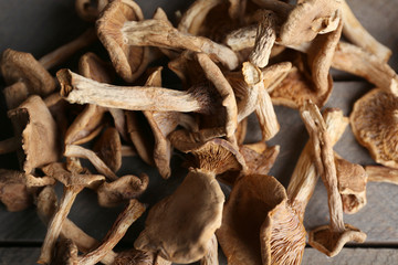 Dried mushrooms, closeup