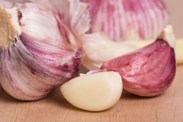 garlic - clove and head