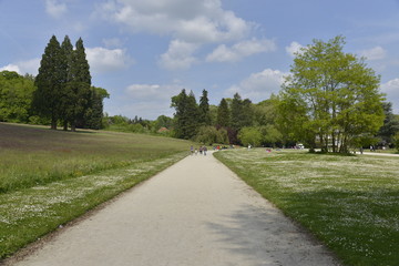 Fototapeta na wymiar L'un des chemins principaux du parc Solvay de La Hulpe