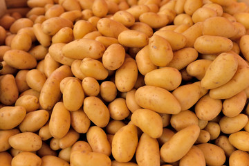 pomme de terre