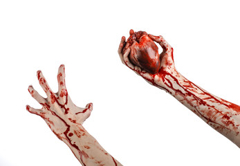 terrible bloody hand hold torn bleeding human heart isolated