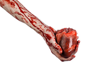 terrible bloody hand hold torn bleeding human heart isolated