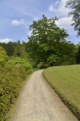L'un des chemins secondaire au magnifique parc Solvay à la Hulpe