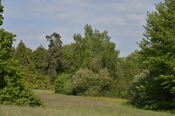 Fototapeta premium La nature sauvage du parc Solvay de la Hulpe