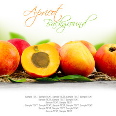 Apricot fruit