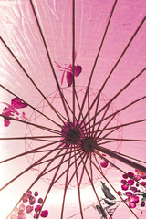 Naklejka premium Japanese umbrella