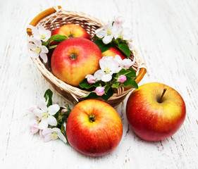 apples  and apple tree blossoms