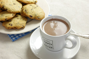 cookies et chocolat 18052015