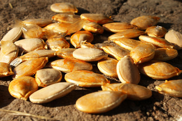 Pumpkin seeds