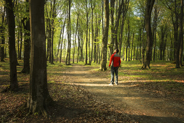 Man walking inside a forest