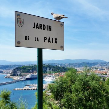 Welcome to Nice! :)