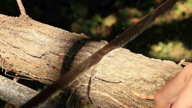 Man cutting firewoods using manual jig saw