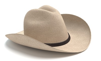 3d illustration of a cowboy hat
