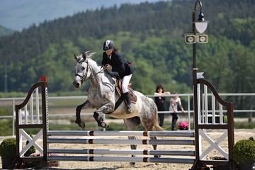 horse jumping