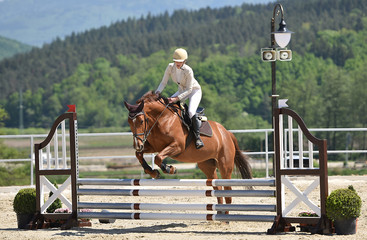 horse jumping