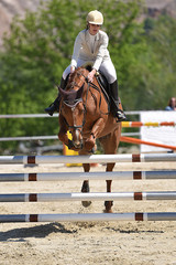 horse jumping