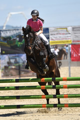 horse jumping