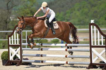 horse jumping