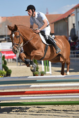 horse jumping