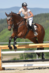 horse jumping