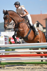 horse jumping