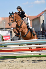 horse jumping