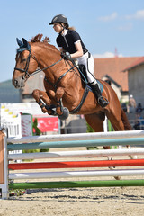 horse jumping