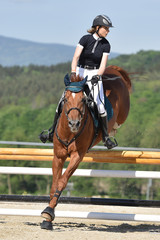 horse jumping © muro
