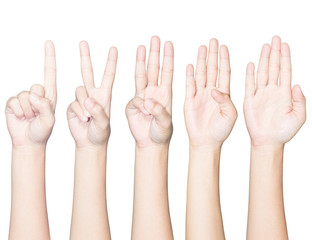 closeup hand gesture count one to five isolated white clipping p