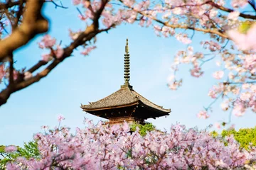 Fototapeten Kirschblüte in Japan.Kyoto. Ninna-Tempel. © MoustacheGirl