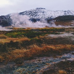 steam rises from geysers in Iceland
