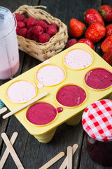 preparation of homemade ice cream lollies with fresh fruits