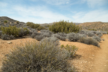 Lost Horse Mine Trail