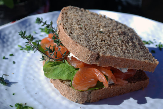 Rico sandwich de salm&oacute;n