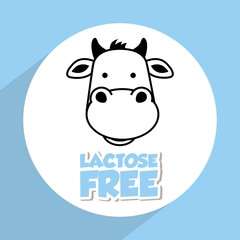 lactose free