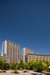 Fototapeta premium 住宅街の大型マンション