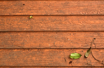 The area made of wood and Leaf is located   