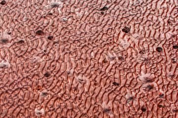 At low tide looking abstract patterns of sand.