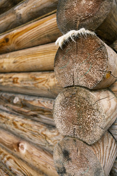 Part of the log house