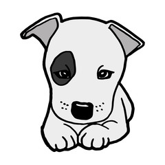 image of cute puppy dog isolated on white vector
