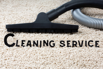 Image of carpet and brush with title